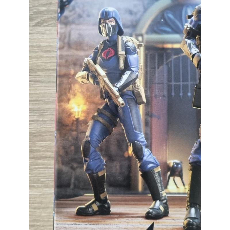 G.I.Joe GI Joe Classified Valkyrie Cobra Officer/Trooper